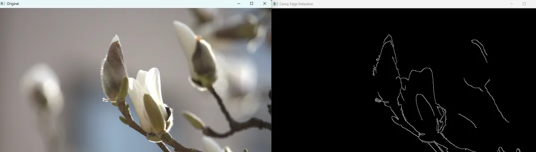 640.webp (1).png